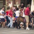 Republicans and a pony hand out American flags at the Coeur d'Alene Parade - Photo courtesy of 29k Productions